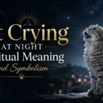 Cat Crying at Night Spiritual Meaning and Symbolism