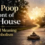 Dog Poop in Front of My House Spiritual Meaning and Symbolism