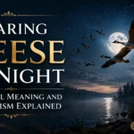 Hearing Geese at Night Spiritual Meaning and Symbolism Explained