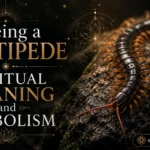Seeing a Centipede Spiritual Meaning and Symbolism