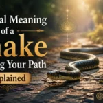 Spiritual Meaning of a Snake Crossing Your Path Explained