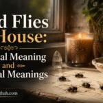 Dead Flies in House: Spiritual Meaning and Magical Meanings