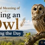 Spiritual Meaning of Seeing an Owl During the Day