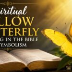 Spiritual Yellow Butterfly Meaning in the Bible & Symbolism