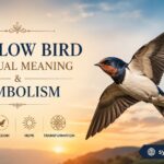 Swallow Bird Spiritual Meaning and Symbolism