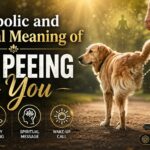 Symbolic and Spiritual Meaning of Dog Peeing on You
