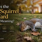 What Is the Dead Squirrel in Yard Spiritual Meaning?