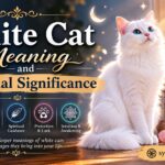 White Cat Meaning and Spiritual Significance