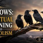4 Crows: Spiritual Meaning and Symbolism