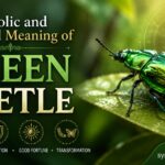 Symbolic and Spiritual Meaning of Green Beetle