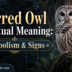 Barred Owl Spiritual Meaning: Symbolism & Signs