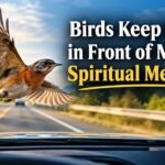 A sudden bird encounter can feel like a meaningful pause during life’s journey.