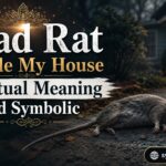 Dead Rat Outside My House Spiritual Meaning