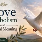 Dove Symbolism and Spiritual Meaning: Peace, Love & Hope