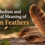 Symbolism and Spiritual Meaning of Brown Feathers