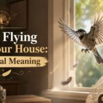 Birds Flying Into Your House: Spiritual Meaning