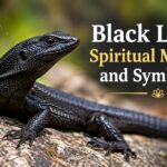 Black Lizard Spiritual Meaning and Symbolism