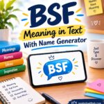 BSF Meaning in Text