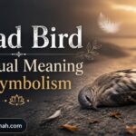 Dead Bird Spiritual Meaning and Symbolism
