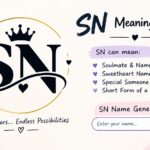 SN Meaning in Text