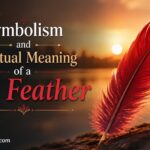 Symbolism and Spiritual Meaning of a Red Feather