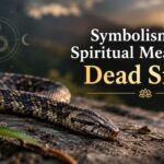 Symbolism and Spiritual Meaning of Dead Snake