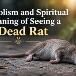 Symbolism and Spiritual Meaning of Seeing a Dead Rat